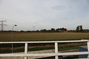 3249 Molen De Drie Waaien biotoop naar het Noorden, 21-09-2009