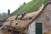 4583 dakdekkers bezig met plaatsen/herstellen rieten dak (personen) op hoeve de Abtsbouwing, 25-10-2006