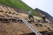 4584 dakdekkers bezig met plaatsen/herstellen rieten dak (personen) op hoeve de Abtsbouwing, 25-10-2006