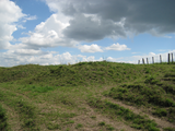 5064 bunkers in het landschap aan de Diefdijk, 08-07-2011
