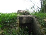 5271 ingang bunker in dijk Ambtswaard Bemmel, 24-05-2011