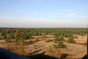 673 vlakte met bomen en heide vanaf dak kathedraal radio Kootwijk, 28-10-2005
