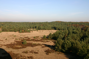 674 vlakte met bomen en heide vanaf dak kathedraal radio Kootwijk, 28-10-2005