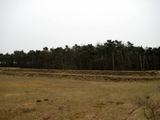 6907 verdedigingswerk welke werd gebruikt is als uitvalbasis door de Engelse troepen tijdens het Beleg van Grolle ...