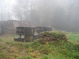 7649 ruïne/resten van kasteel Hemmen, 23-11-2011