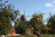 7716 molen De Zwaluw tussen bomen, 14-10-2009