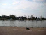 823 De Praets met op de voorgrond rederij Scheers en de Rijn, 09-04-2008