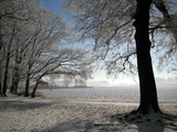 8448 weiland en bomen in de sneeuw, 09-01-2009