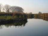 9401 Rijnstrangengebied, rivier omzoomd door riet tussen Pannerden en Zevenaar, 09-11-2011