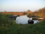 9402 Rijnstrangengebied, rivier met sloepenboten tussen Pannerden en Zevenaar, 09-11-2011