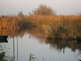 9404 Rijnstrangengebied, rivier omzoomd door riet tussen Pannerden en Zevenaar, 09-11-2011