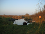 9405 Rijnstrangengebied, rivier met sloepenboten tussen Pannerden en Zevenaar, 09-11-2011