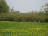 9406 Rijnstrangengebied zicht op kerktoren tussen Pannerden en Zevenaar, 28-04-2010