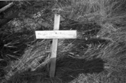 16 Het opgraven van de stoffelijke resten van de Britse Corporal Bernard S. Atkinson, van het 1st (Airborne) Battalion, ...