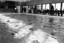 91512 Afbeelding van de officiële opening van het overdekte instructiebad bij het openlucht zwembadencomplex Fletiomare ...