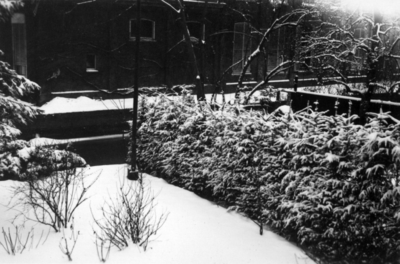 25510 Gezicht in de besneeuwde tuin van het huis F. C. Dondersstraat 18 te Utrecht.