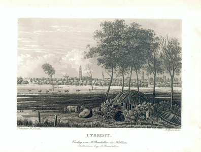 38628 Profiel van de stad Utrecht uit het noorden gezien, met de Domtoren, de toren van de Buurkerk en de toren van de ...