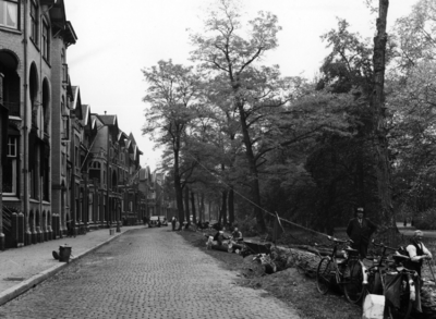 82435 Gezicht in de Koningslaan te Utrecht ter hoogte van nr. 14, tijdens het kappen van enkele bomen, uit het noorden; ...
