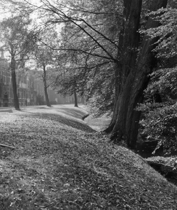 60425 Gezicht in de Koningslaan te Utrecht uit het noorden; met rechts het Wilhelminapark.
