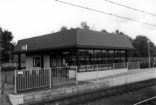 150374 Gezicht op het N.S.-station 't Harde te t Harde.