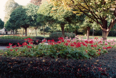 89106 Gezicht op de Pastoor Ohllaan te Vleuten (gemeente Vleuten-De Meern).N.B. De gemeente Vleuten-De Meern is per 1 ...
