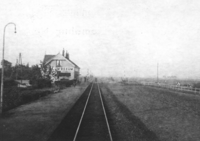 161752 Gezicht op het N.S.-station Jellum-Boxum te Jellum.