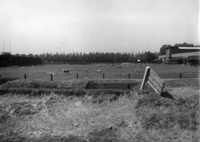 84119 Gezicht op de openbare schuilplaats op het sportterrein aan de westzijde van de Croeselaan.