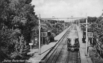 160981 Gezicht op het N.S.-station Oosterbeek Hoog te Oosterbeek, met een stroomlijn motorrijtuig uit de serie omBC ...