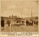 70800 Afbeelding van een kudde schapen bij de ingang van het Buurtstation aan de noordhoek van het Stationsplein te Utrecht.