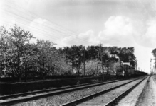 163253 Afbeelding van een goederentrein getrokken door de stoomlocomotief nr. 344 (serie 300/400; nrs. 301-479; later ...