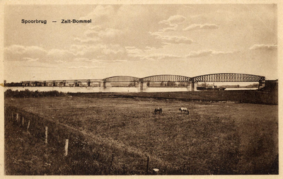 165026 Gezicht op de spoorbrug over de Waal bij Zaltbommel.