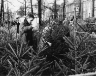 101245 Afbeelding van de kerstbomenmarkt op het Janskerkhof te Utrecht.