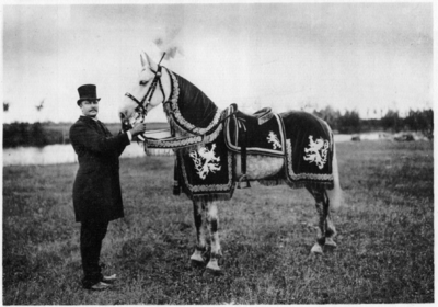 220069 Afbeelding van het paard Phidias van Maximiliaan, koning van Bohemen, hoofdpersoon tijdens de festiveiten ter ...