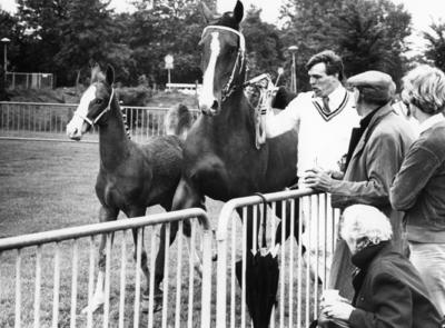 102788 Afbeelding van het voorleiden van een merrie met veulen door een monsterknecht tijdens de Centrale Merriekeuring ...