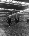 103025 Afbeelding van de wedstrijd voor aangespannen fokmerries tijdens de 54ste Vee- en Paardendagen in de ...