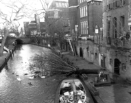 103412 Afbeelding van een omgewaaide boom op de werf langs de Oudegracht te Utrecht, ter hoogte van het huis Drakenburg ...