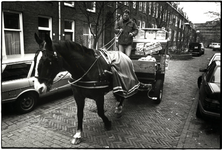 403017 Afbeelding van groenteboer en aardappelhandelaar Hein Westerhout met zijn groentekar, getrokken door het paard ...